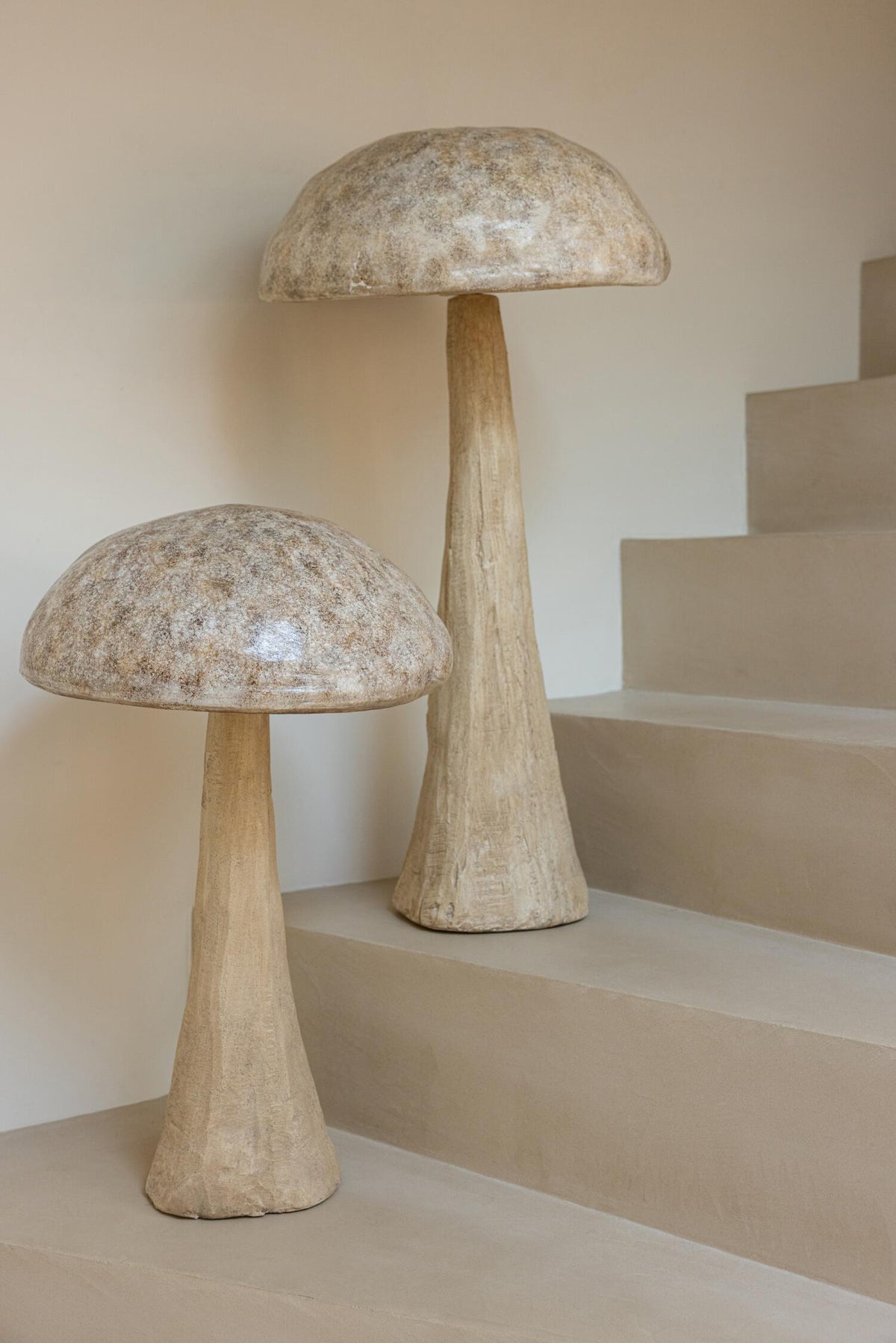 CHAMPIGNON MAGNE 269610