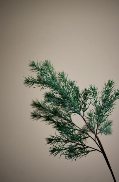 Pine Tige, Verte, Fleurs artificielles
