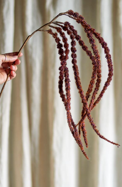 Foxtail Tige, Marron, Fleurs artificielles