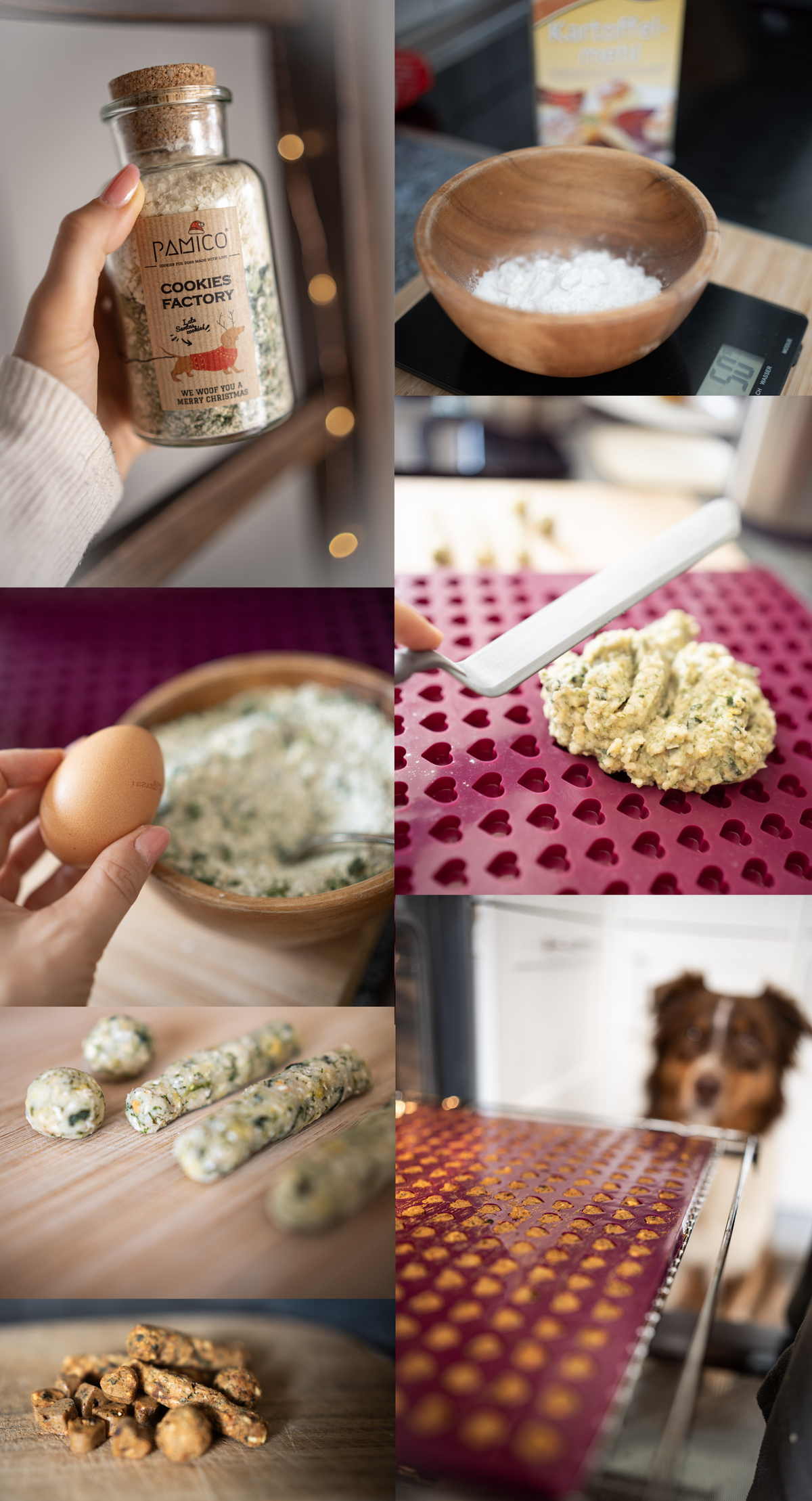 PRÉPARATION COOKIES POUR CHIEN