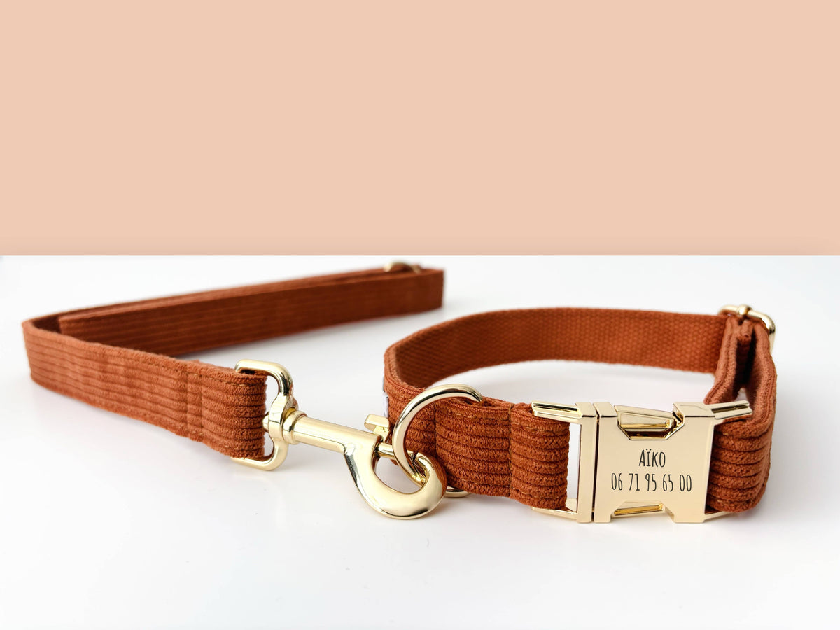 LAISSE CHIEN ROUILLE