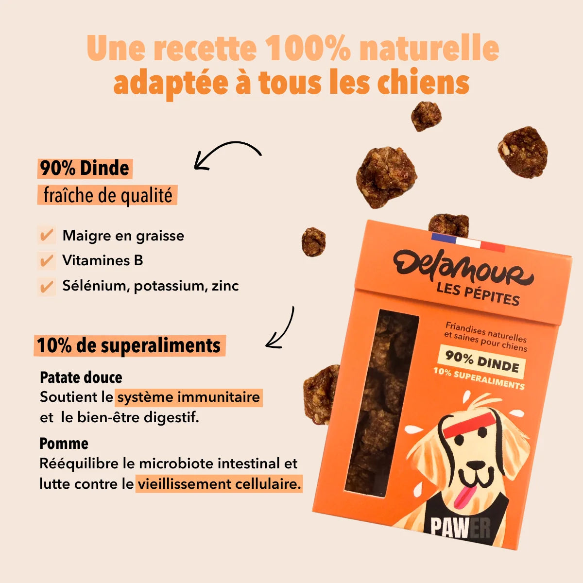 FRIANDISE POUR CHIEN DINDE